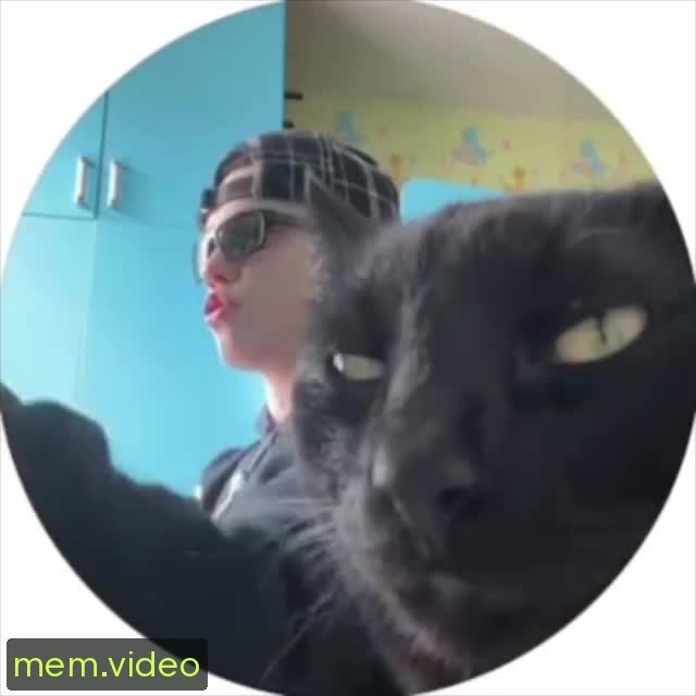 Кадр на 0:53
