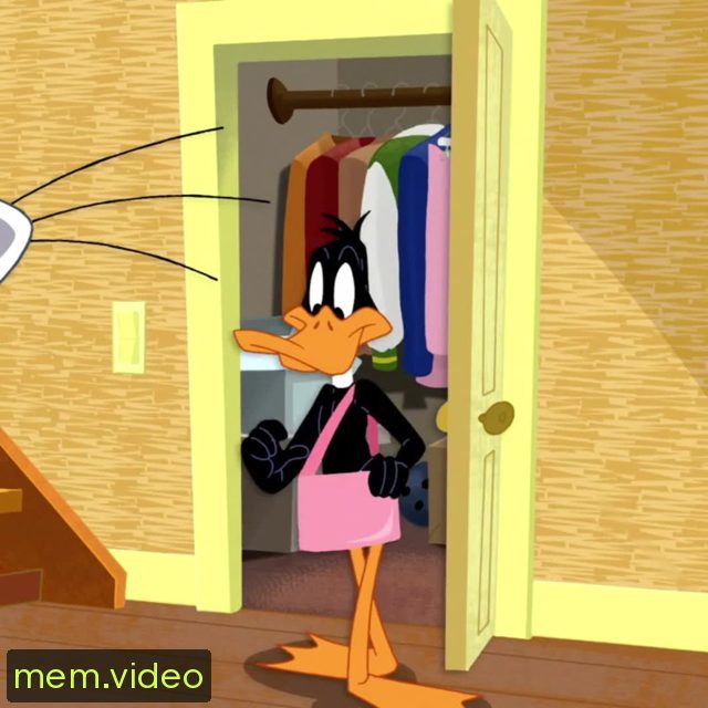 Кадр на 0:00