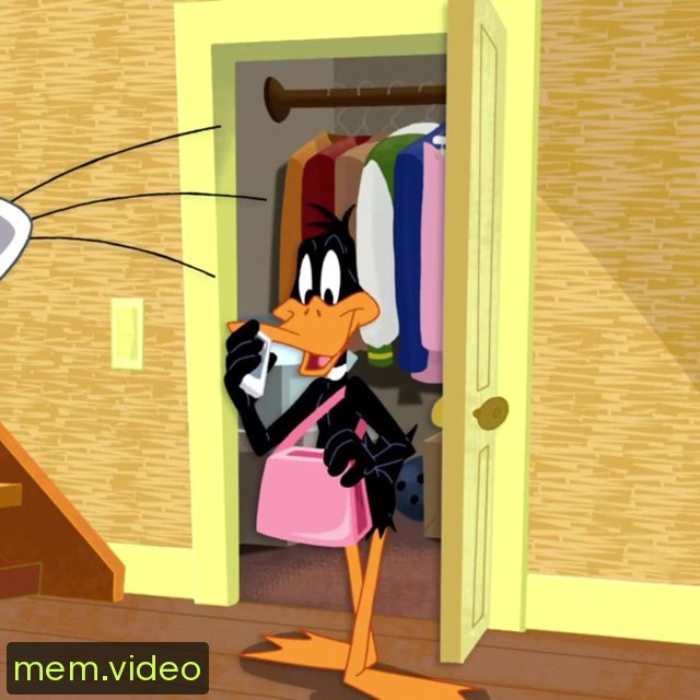 Кадр на 0:00