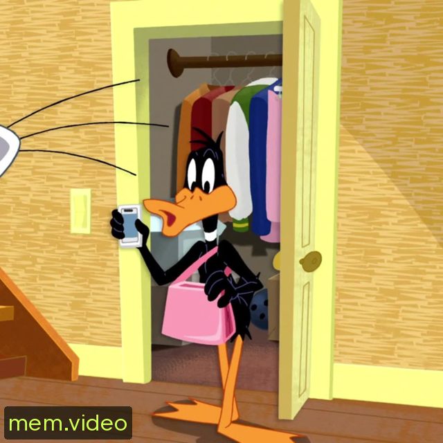 Кадр на 0:01
