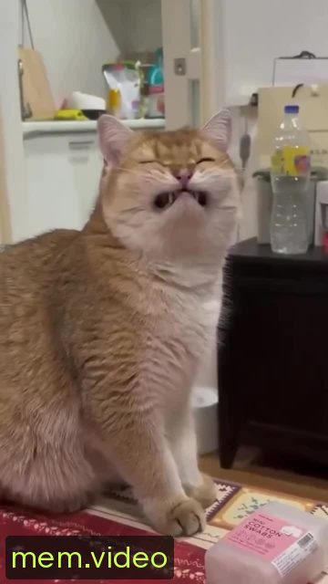 Кадр на 0:01