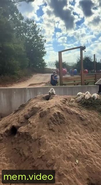 Кадр на 0:03