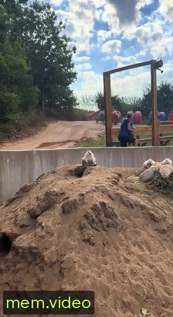 Кадр на 0:05