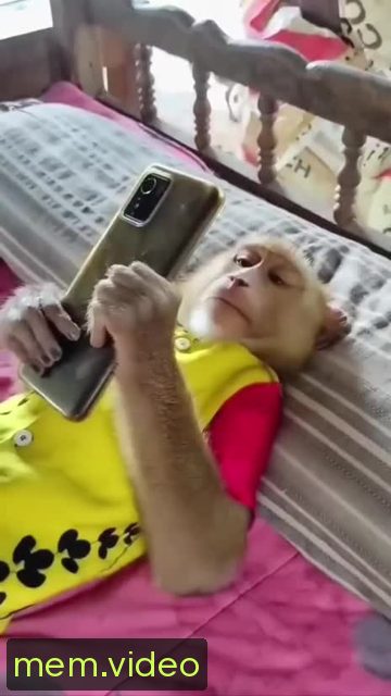 Кадр на 0:00