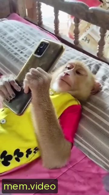 Кадр на 0:02