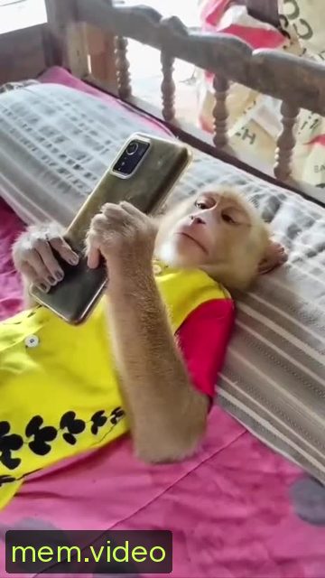 Кадр на 0:08