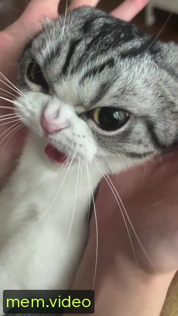 Кадр на 0:09