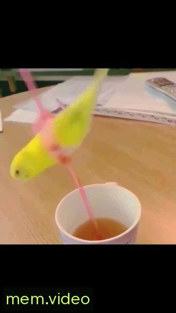 Кадр на 0:04