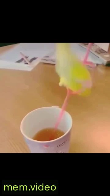 Кадр на 0:05