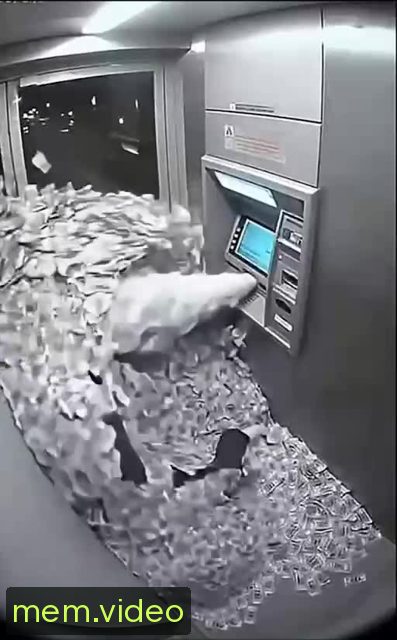 Кадр на 0:03