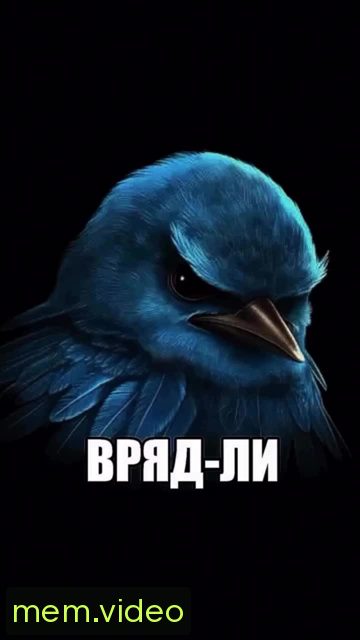 Кадр на 0:01