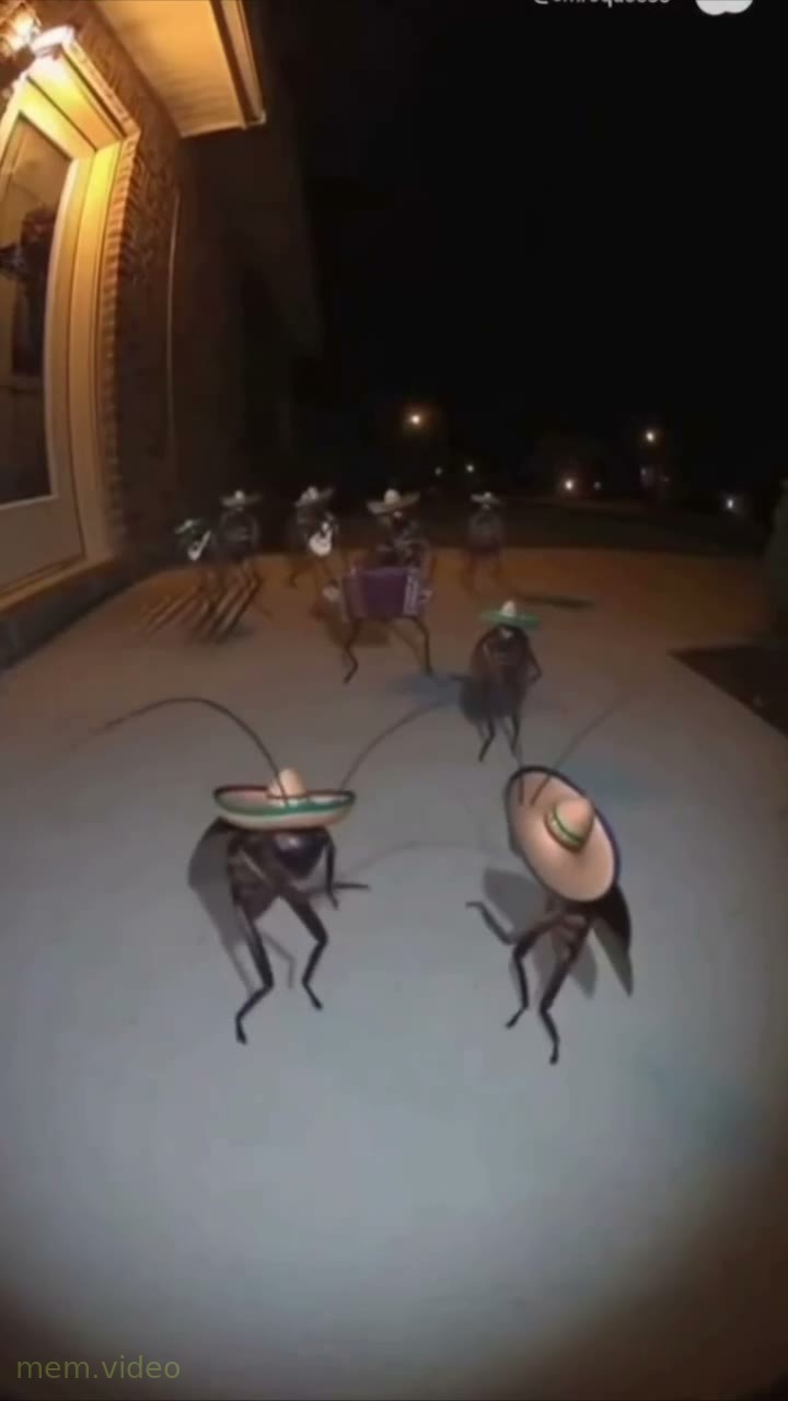 Кадр: "La cucaracha" — тараканы в сомбреро танцуют