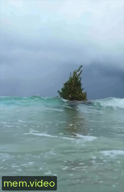 Кадр на 0:00