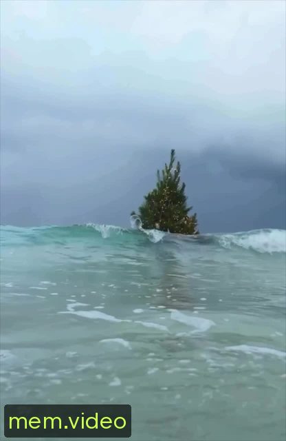 Кадр на 0:01