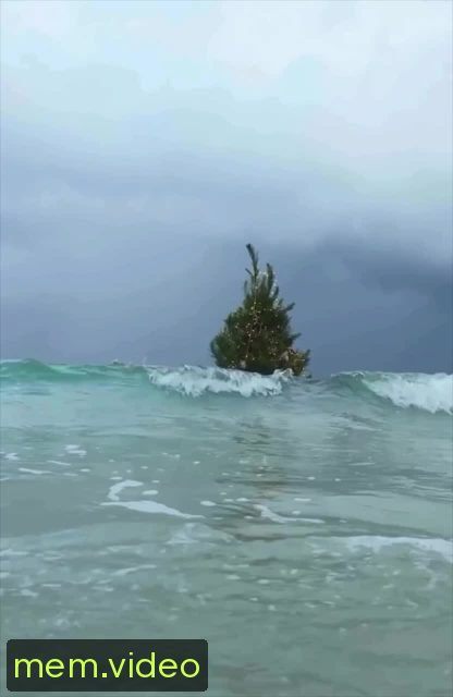 Кадр на 0:02