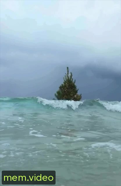 Кадр на 0:02