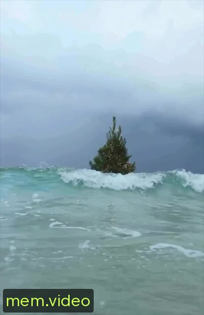 Кадр на 0:03