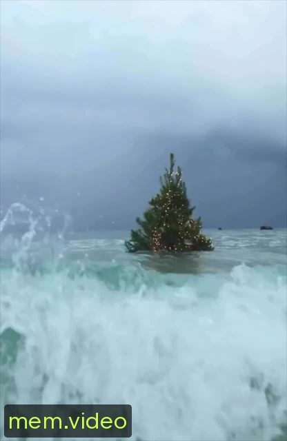 Кадр на 0:07