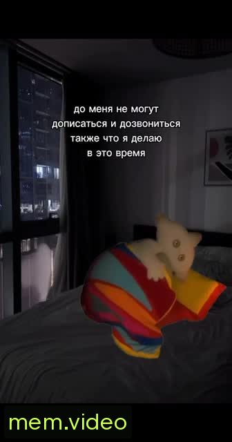 Кадр на 0:02