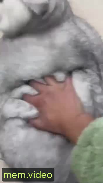 Кадр на 0:00