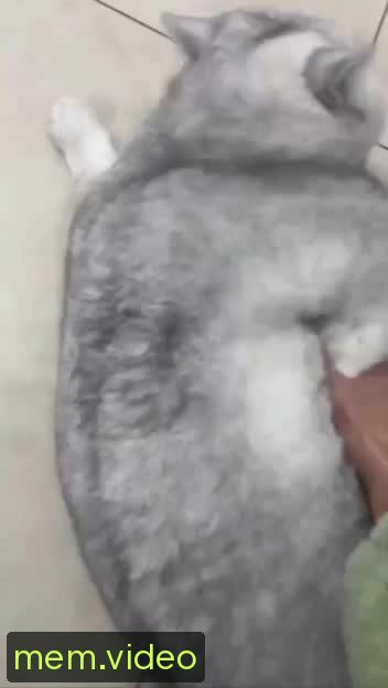 Кадр на 0:01