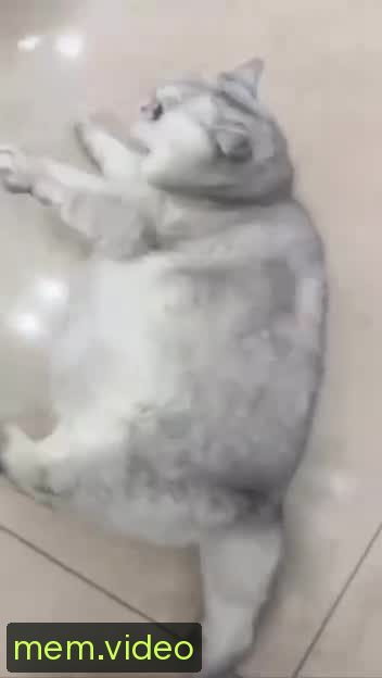 Кадр на 0:02