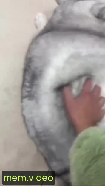 Кадр на 0:05