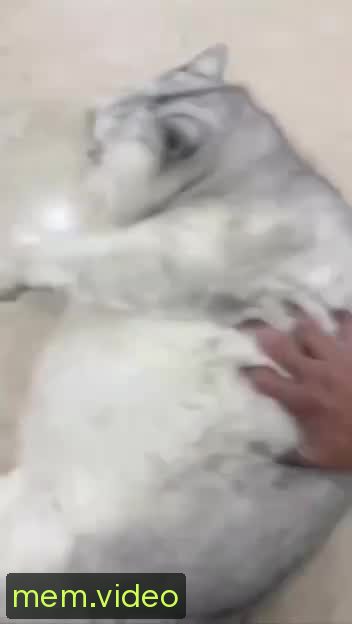 Кадр на 0:06
