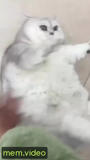 Кадр на 0:07
