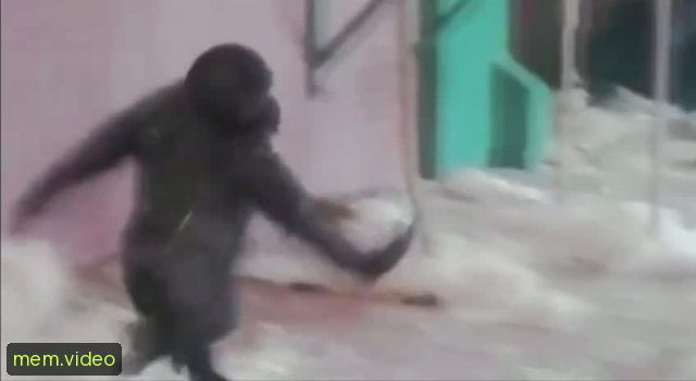 Кадр на 0:02