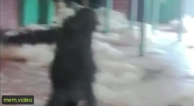 Кадр на 0:04