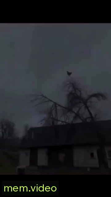 Кадр на 0:00