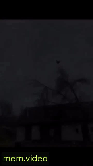 Кадр на 0:00
