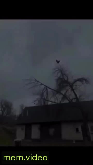 Кадр на 0:00