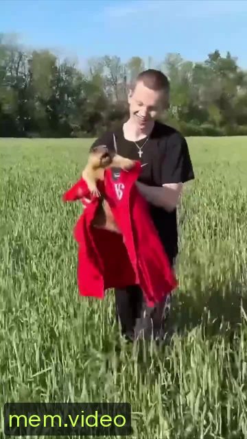 Кадр на 0:00