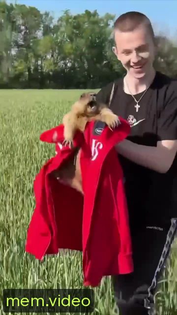 Кадр на 0:01