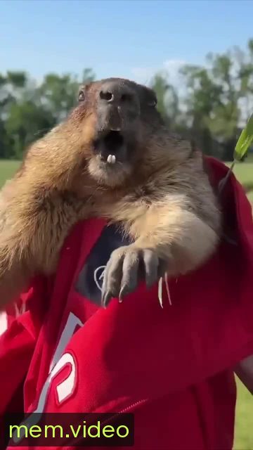 Кадр на 0:04