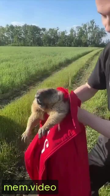 Кадр на 0:07