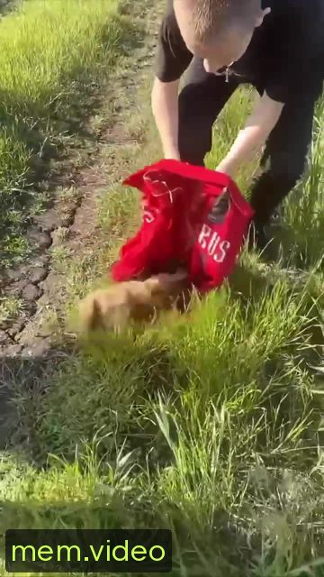 Кадр на 0:09