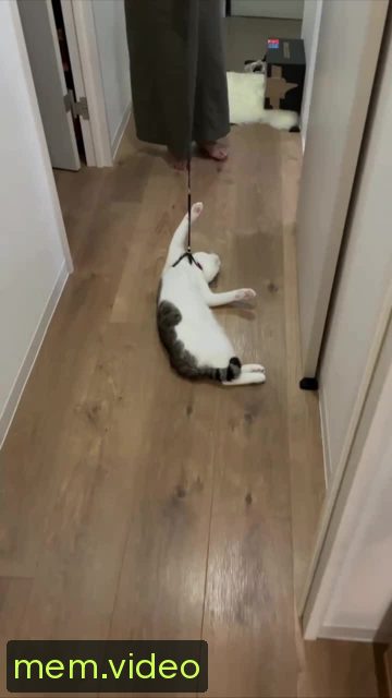 Кадр на 0:09