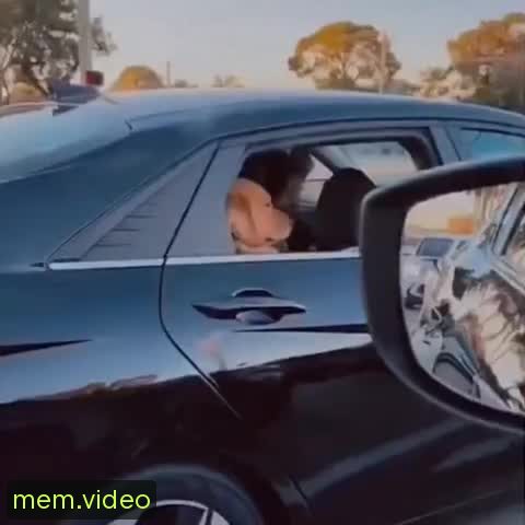 Кадр на 0:00