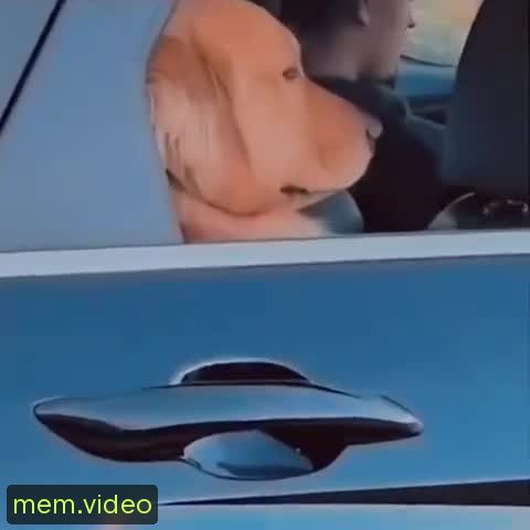 Кадр на 0:01