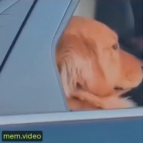 Кадр на 0:02