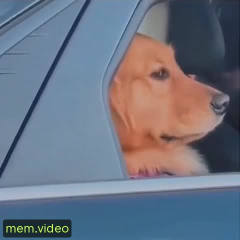 Кадр на 0:02