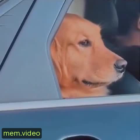 Кадр на 0:03