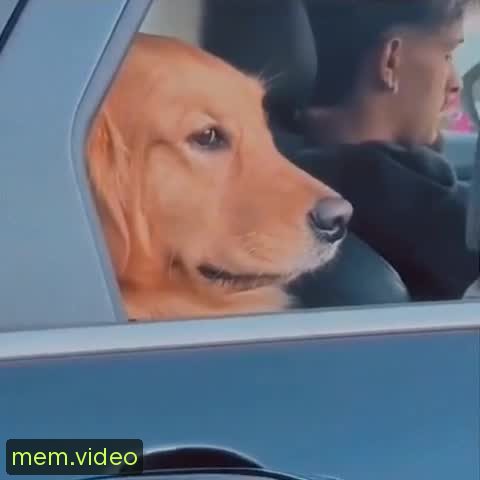 Кадр на 0:04