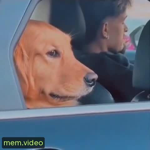 Кадр на 0:05