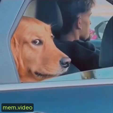 Кадр на 0:06