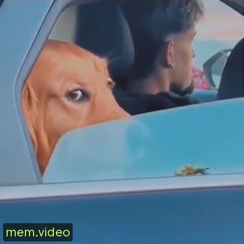 Кадр на 0:07