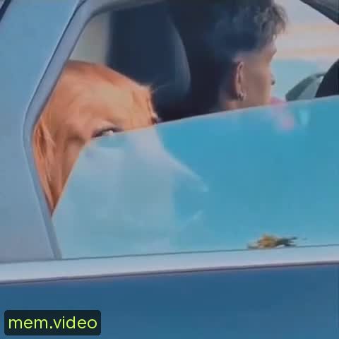Кадр на 0:08